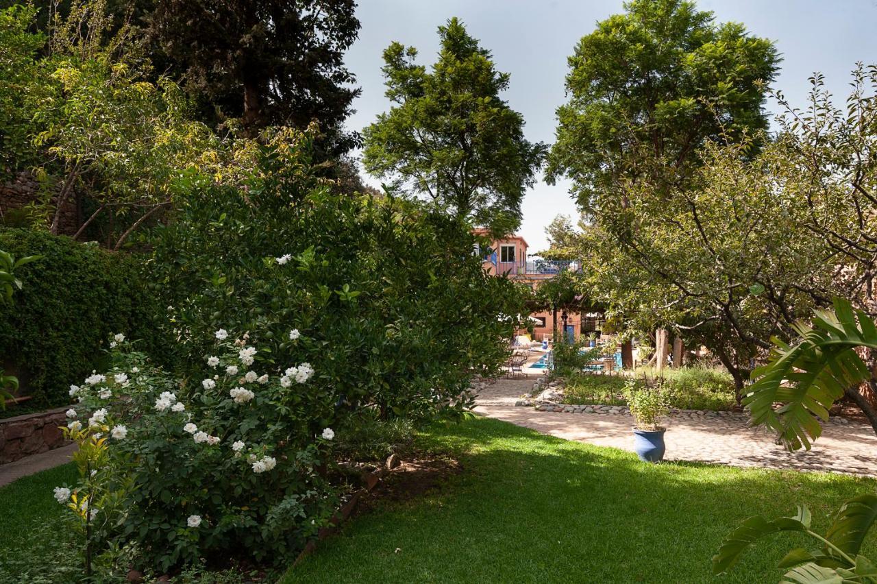 Auberge Le Maquis Aghbalou Dış mekan fotoğraf